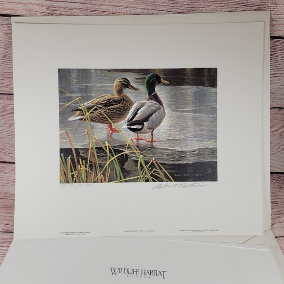 Robert Bateman Mallard Pair Early Winter Print - Picture 4 of 7